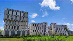 - Машины Папы.