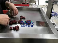 вертикальная упаковочная машина CP01